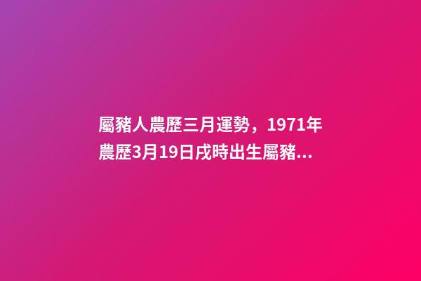 屬豬人農歷三月運勢，1971年農歷3月19日戌時出生屬豬人的運勢 農歷1993年3月19日，出生的人命運怎么樣？什么星座-第1張-觀點-玄機派